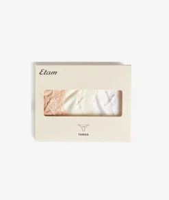 Online ETAM Set de 3 tangas de microfibra y encaje MULTICOLOR