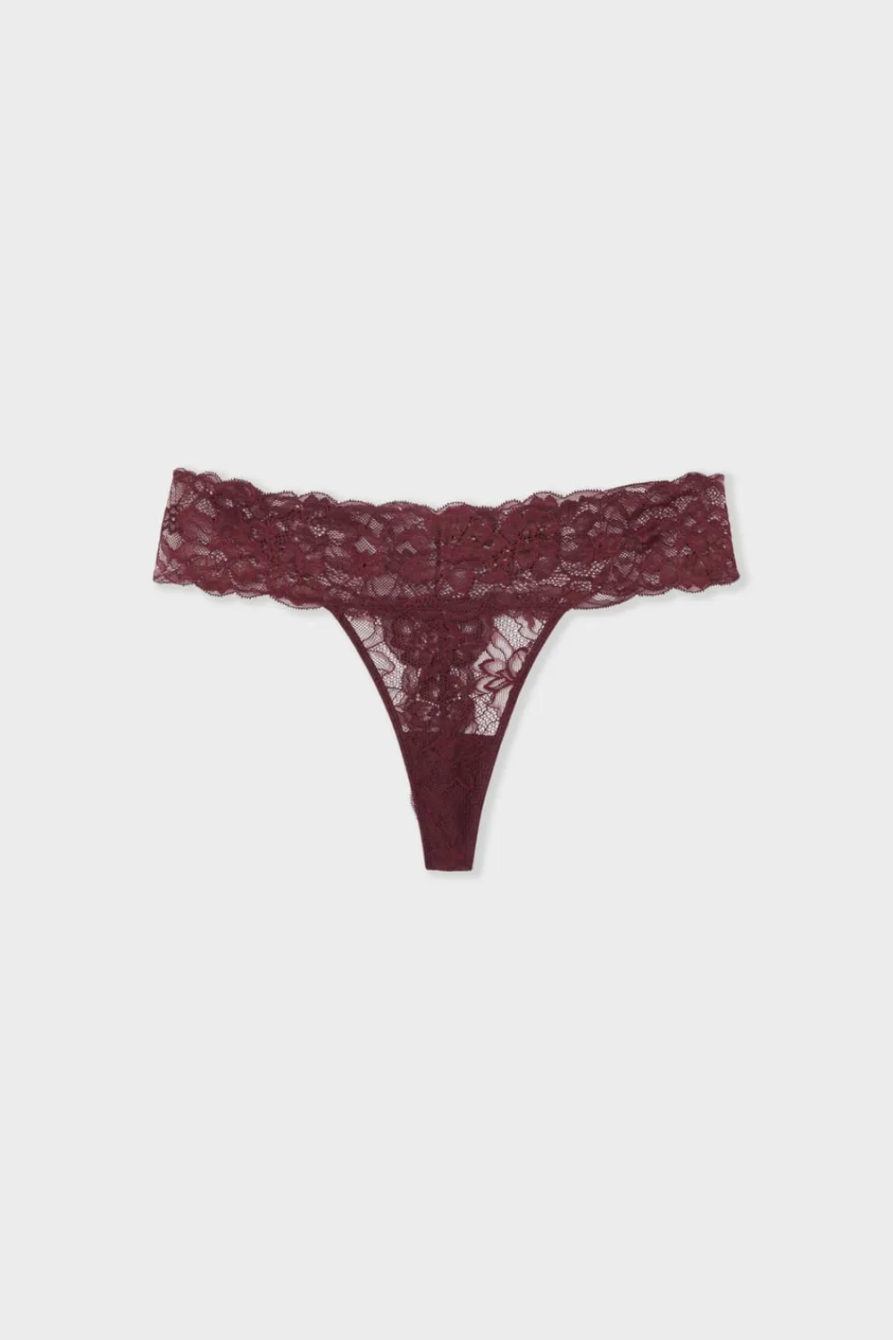 ETAM Tanga de encaje MORADO